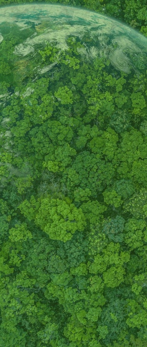 Vue aérienne d'une forêt verdoyante, avec la Terre, la planète verte, en arrière-plan.