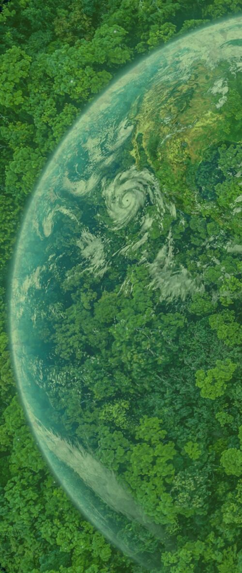 Vue aérienne d'une forêt verdoyante, avec la Terre, la planète verte, en arrière-plan.