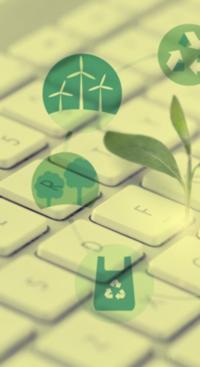 Une plante verte écologique sur un clavier