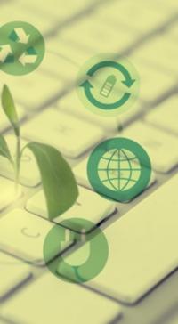 Une plante verte écologique sur un clavier