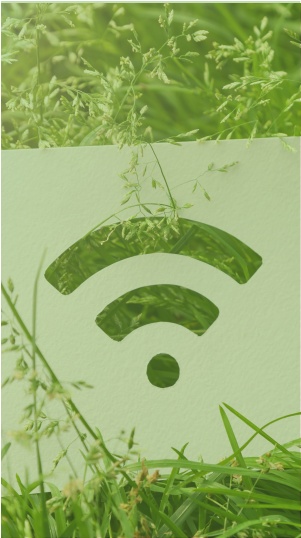 Le signal wifi posé sur l'herbe